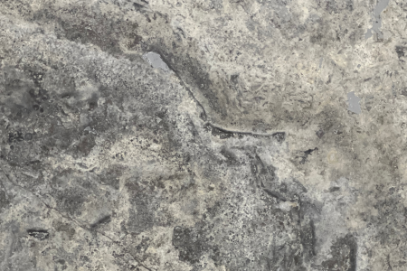 Silver Travertine